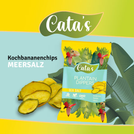 Kochbananen Chips Meersalz