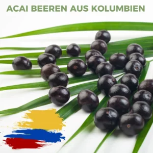 Acai Beeren Pulver