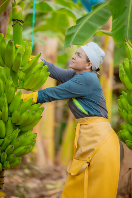 Plantagen Mitarbeiterin